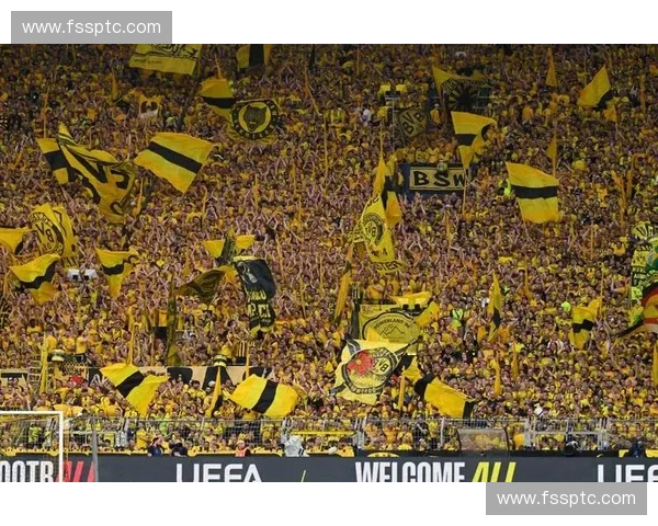 多特蒙德足球俱乐部辉煌历程与青年球员培养体系深度解析